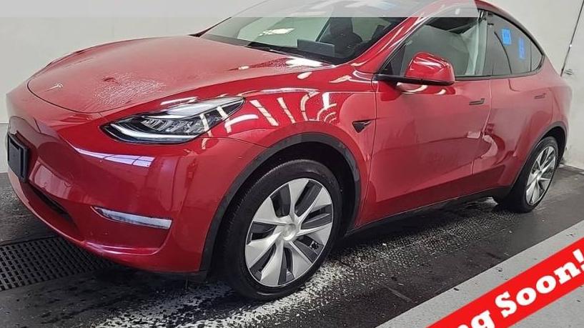 TESLA MODEL Y 2021 5YJYGDEE3MF300813 image